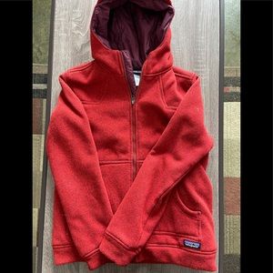 Women’s Patagonia Insulated Better Sweater (L)